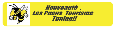 pneu tourisme